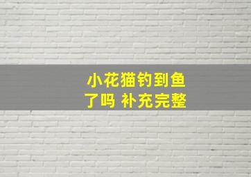 小花猫钓到鱼了吗 补充完整